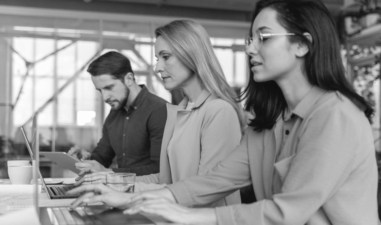 Financial analysis and budget trend visualization workspace